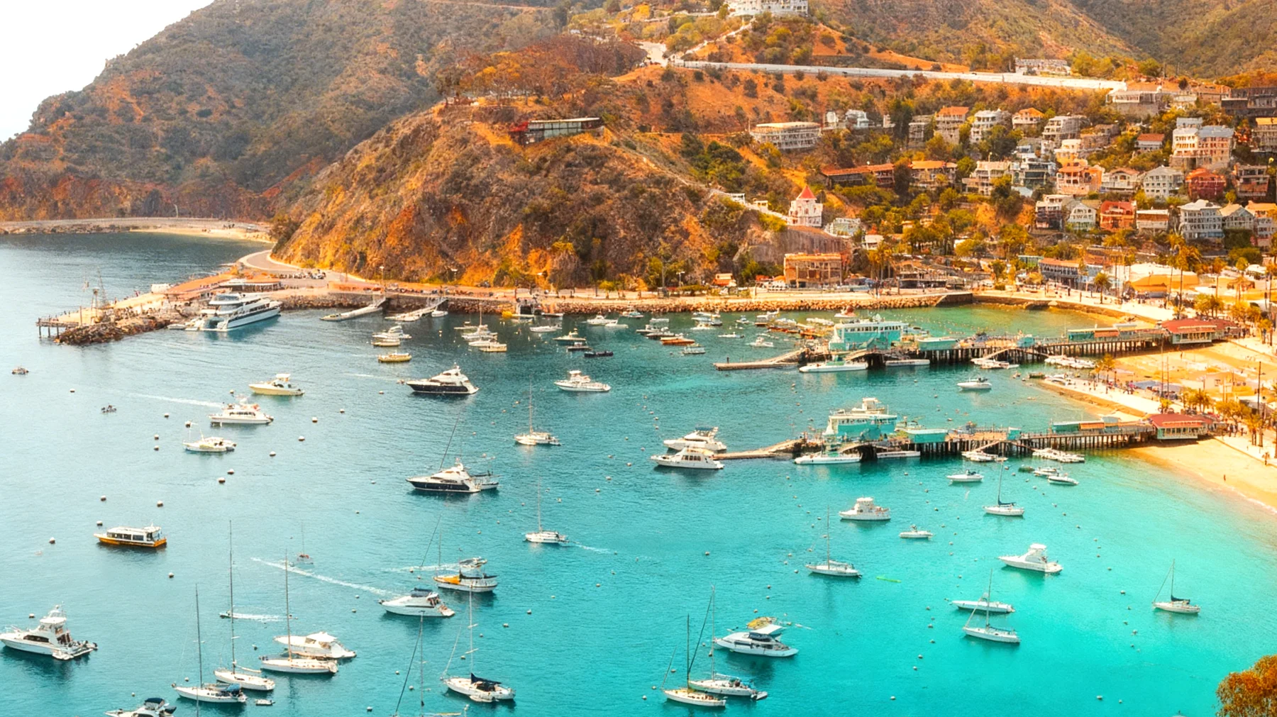 La Promessa 2026-03-08T06:45:26.709Z"